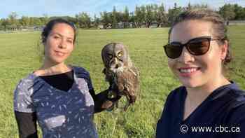 How interning at a Regina-based wildlife rehab centre cemented a biologist's desire to work in the field
