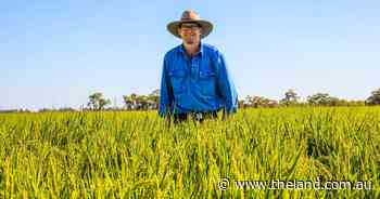Commitment to a program works for Gogeldrie farmer