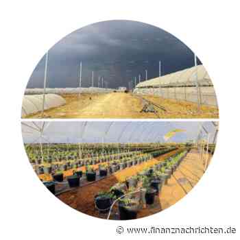 Water Ways chinesische Tochtergesellschaft installiert ein neues Blueberries Wind-Blocksystem in China