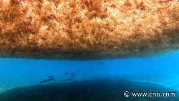 A blob twice the width of the US is forming in the Atlantic Ocean