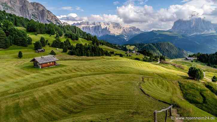 Regierung von Oberbayern verschiebt Walzverbot