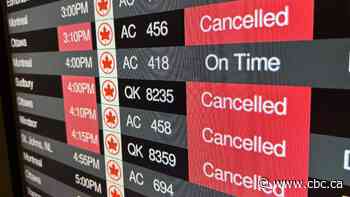 What can you do if your flight gets canceled?