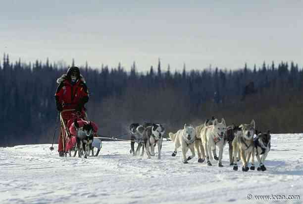 Sled dog race threatened by changing climate