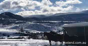 Sierra Nevada snow points to a climate flip
