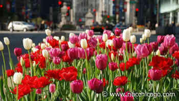 Spring Officially Begins Monday as Vernal Equinox Will Take Place