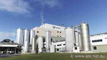 Dairy processor rakes in $70m amid shrinking milk supply, ballooning expenses