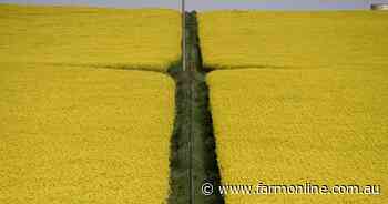 Aussie farmers embrace agriculture tech ahead of UK, US