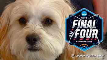 Charley's Choice: Marini dog picks NCAA Tournament