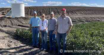 US visitors cotton onto water efficiency in north-west crops