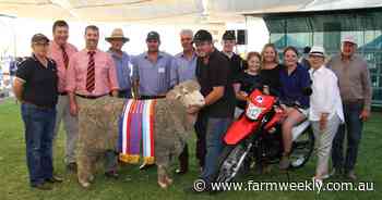 Rangeview stud wins supreme ribbon