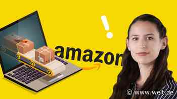 Wenn Amazon-Verkäufe zum finanziellen Fiasko werden