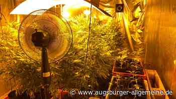 Marihuana und Plantage im Stadel: Polizei fasst mutmaßliche Drogen-Brüder