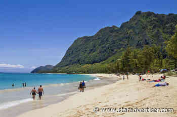 Kokua Line: Could beach park lose ban on business use?