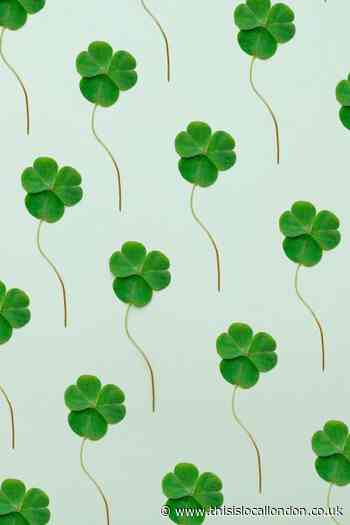 St Patricks day: history and events and everything inbetween