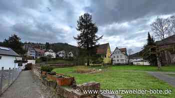 Bauprojekt in Bad Herrenalb: Denkmalschutzamt macht Strich durch Rechnung