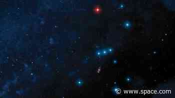 Orion constellation goes from hunter to hunted in the March night sky