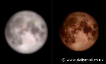 Samsung's photos of the moon are FAKE: Tech giant admits it uses AI to 'enhance' snaps