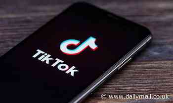 How worried should you be about TikTok? Everything you need to know as the UK Government BANS app