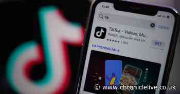 TikTok banned from official Government-issued phones over security fears
