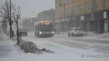 Winter storm warnings in effect for parts of northwestern Ontario