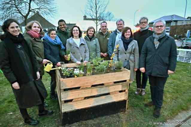 Bewoners denken na over toekomst van hun naoorlogse wijk: “Bankjes in de straat en groenere voortuintjes”