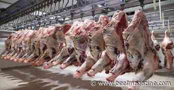 The recent evolution of carcass ultrasound