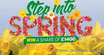Step into Spring and win a share of £1400 B&Q vouchers!