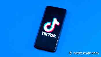 Give Your TikTok Recommendations a Fresh Start With This Update     - CNET