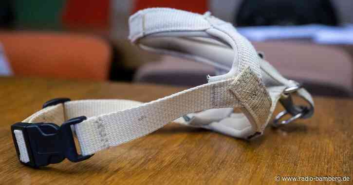 Kinderohr halb ab: Hundehalterin verneint Verantwortung