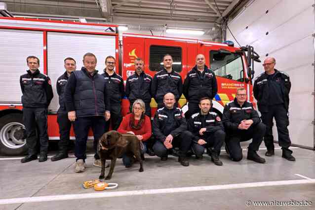 Labrador Junny die door brandweer gered werd bedankt helden met taart