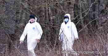 Morpeth bones find probe continues one week on after being discovered in wood