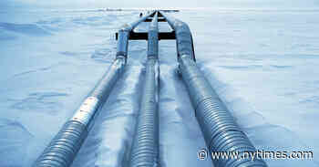 How Big of a Climate Betrayal Is the Willow Oil Project?