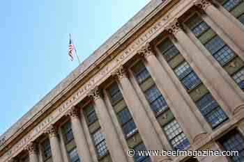 ACE Agriculture Act to spur high-risk, high-reward research