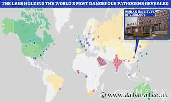 Warning over worldwide boom in labs designed to handle deadliest pathogens