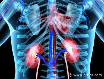 BP Benefits of Ultrasound Renal Denervation Similar Across Hypertension Severity