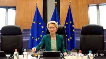 EU-Kommission will mehr Vorgaben für grünen Wandel