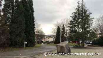 Turnhalle Oberjettingen: Abschied von  Holzdecke wegen Schallschutz