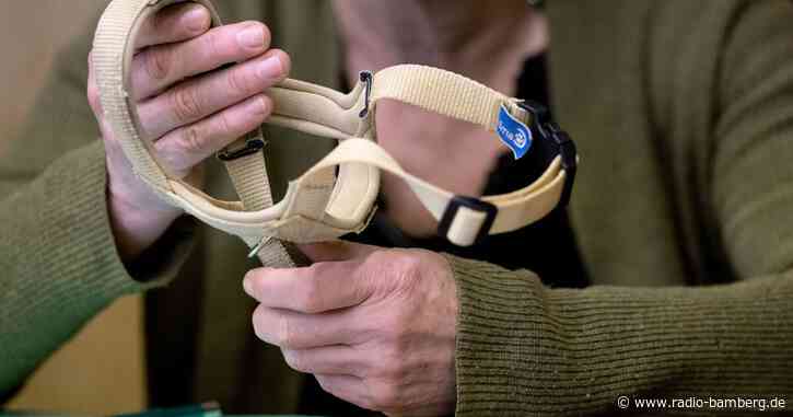 Ohr halb ab: Hundehalterin akzeptiert Strafe für Kind