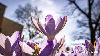 Zu warm, zu trocken – so soll das Wetter im Frühling werden