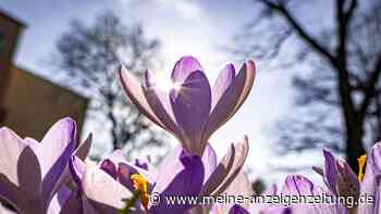 Zu warm, zu trocken – so soll das Wetter im Frühling werden