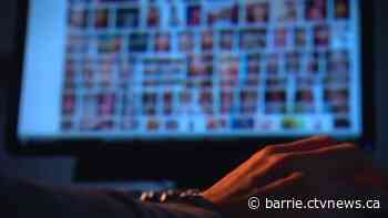 Video game and social media platforms used to exploit 11-year-old in child luring case