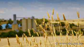 Why farmers hate the new tax on 'unrealised gains' on super funds over $3m