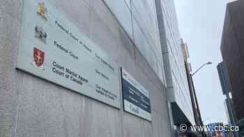 Record-breaking number of immigration cases went through Federal Court in 2022