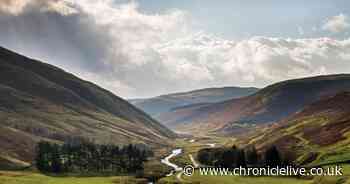 'Breakthrough' as plans lodged to give off-grid properties in Northumberland electricity