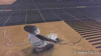 Artist turns a desert solar farm into a canvas