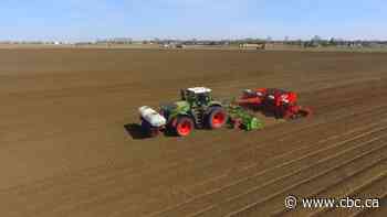 Searching for spuds: Potato farmers near Coaldale prepare for french fry facility expansion