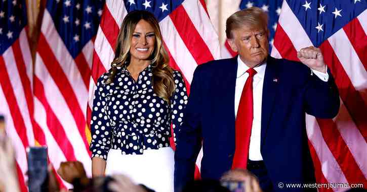 'The View' Co-Host Makes Sick Comment on Melania and Donald Trump's Marriage