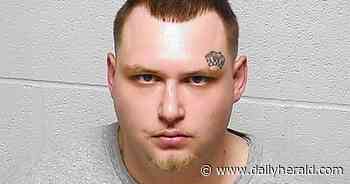 Police: Round Lake Park man had illegal drugs, ghost guns in home