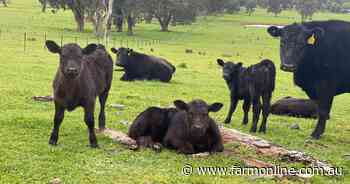 Farm owner has spent big restoring this North East grazing farm