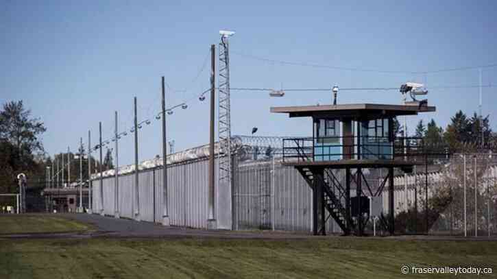 Guards union says second pigeon with a backpack found in B.C. prison